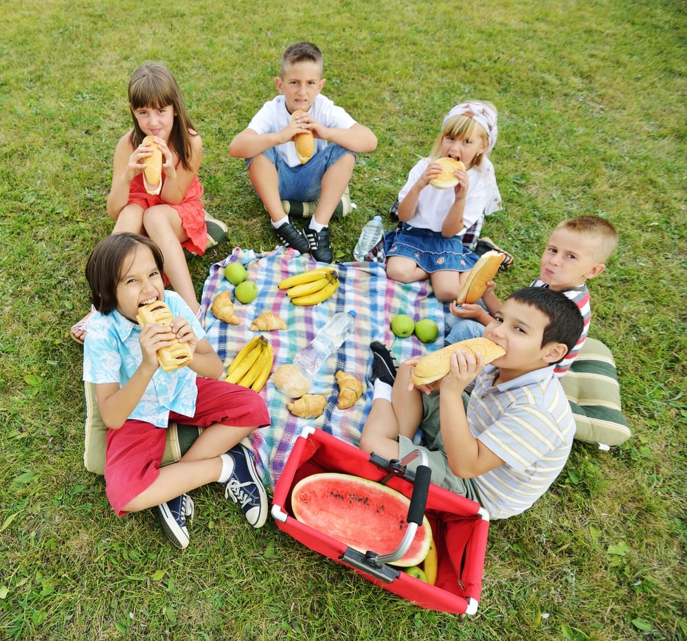 Children having picnic on meadow in circle