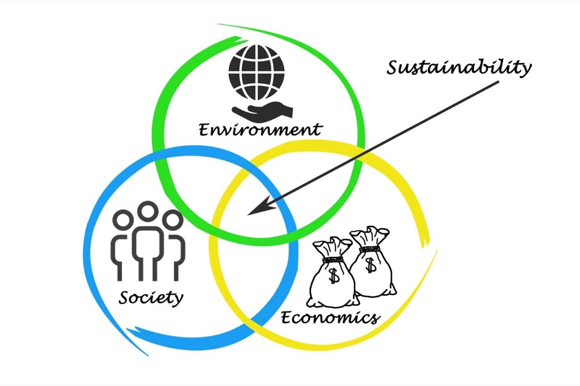 sustainability - CRANN - SUNGLASSES _ WATCHESIRELAND
